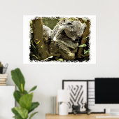 Sleepy Koalas Poster (Heimbüro)