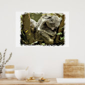 Sleepy Koalas Poster (Küche)