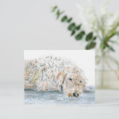 Sleepy Labradoodle Postkarte (Stehend Vorderseite)