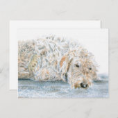 Sleepy Labradoodle Postkarte (Vorne/Hinten)