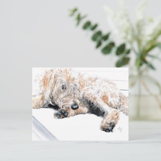 Sleepy Labradoodle Postkarten (Stehend Vorderseite)