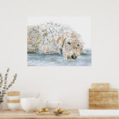 Sleepy Labradoodle Print Poster (Küche)