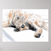 Sleepy Labradoodle Print Poster (Vorne)