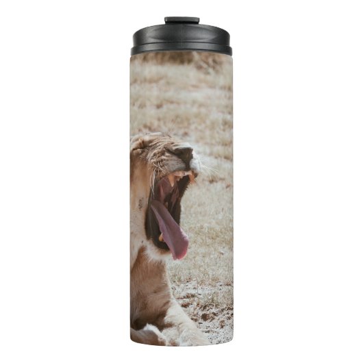 SLEEPY LION THERMOSBECHER (Vorderseite)