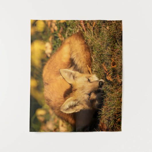 Sleepy Little Fox Wandteppich (Vorderseite)