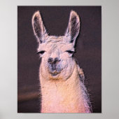 Sleepy Llama Face Poster (Vorne)