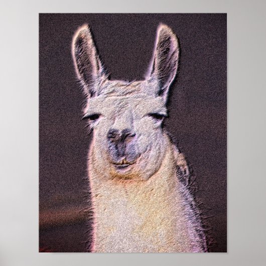 Sleepy Llama Face Poster (Vorne)