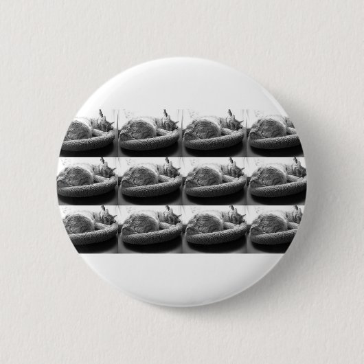 Sleepy Orange Tabby Cat/Black/White Foto Button (Vorderseite)