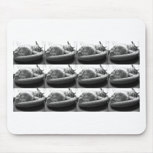 Sleepy Orange Tabby Cat/Black/White Foto Mousepad (Vorne)