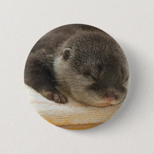 Sleepy Otter Button