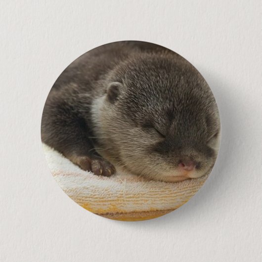 Sleepy Otter Button (Vorderseite)