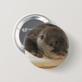 Sleepy Otter Button (Vorne & Hinten)