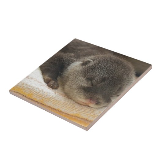 Sleepy Otter Fliese (Seite)