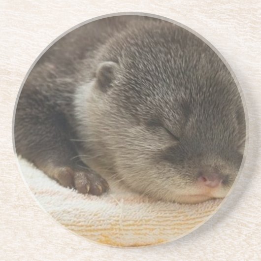 Sleepy Otter Getränkeuntersetzer (Vorne)