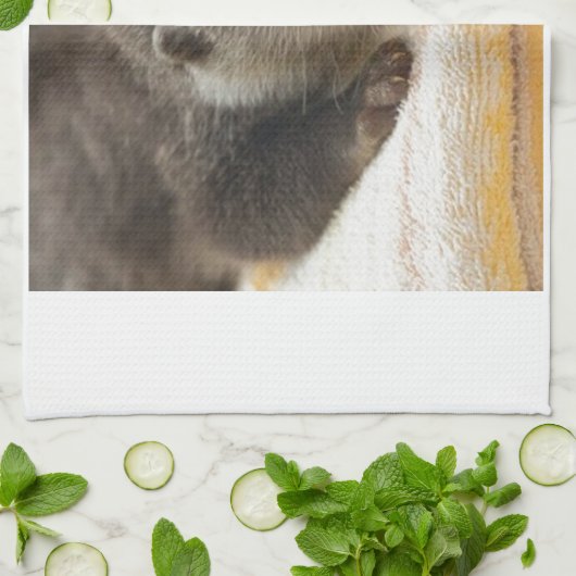 Sleepy Otter Handtuch (Gefaltet)