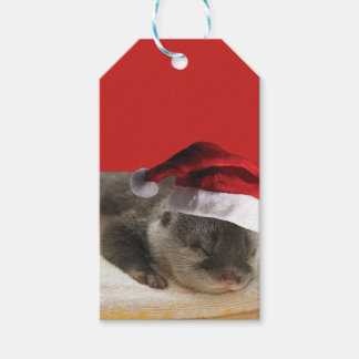 Sleepy Otter mit einem Weihnachtshut Geschenkanhänger