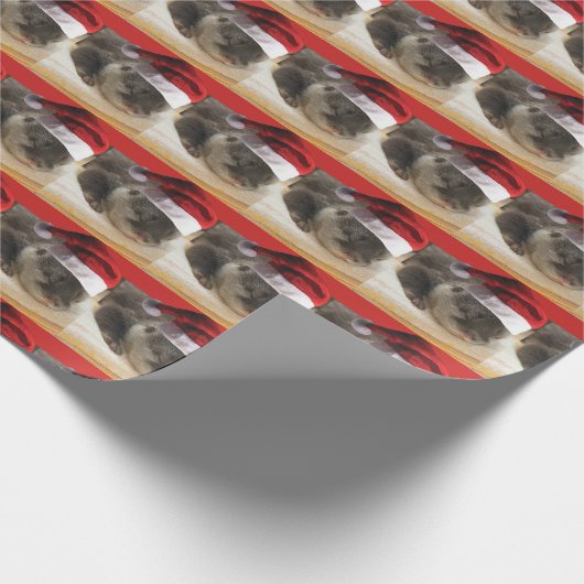 Sleepy Otter mit einem Weihnachtshut Geschenkpapier (Ecke)