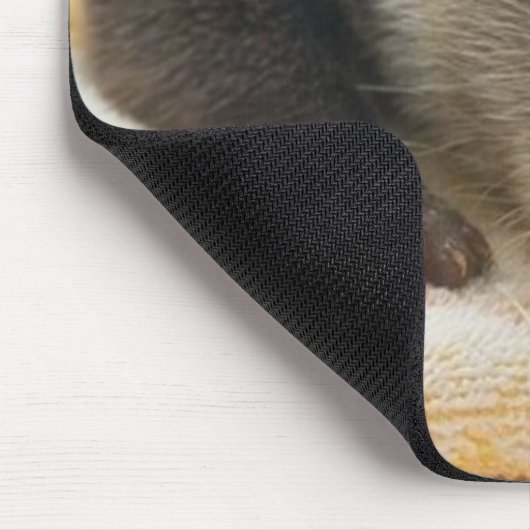 Sleepy Otter Mousepad (Ecke)