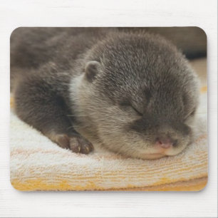 Sleepy Otter Mousepad