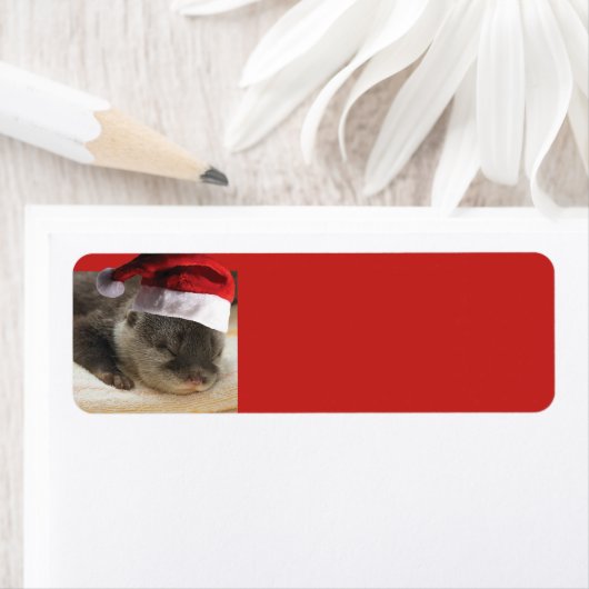 Sleepy Otter Santa Claus (Insitu)