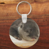 Sleepy Otter Schlüsselanhänger (Vorderseite)