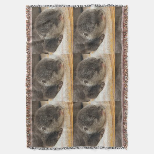 Sleepy Otters Decke (Vorderseite Vertikal)