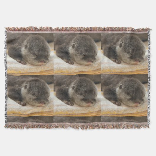 Sleepy Otters Decke (Vorderseite)