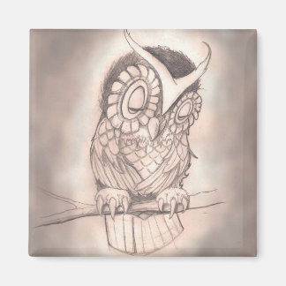 Sleepy Owl Magnet