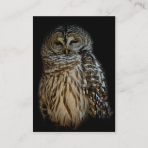 Sleepy Owl Mini Print Visitenkarte