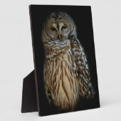 Sleepy Owl Plaque Fotoplatte (Seite)