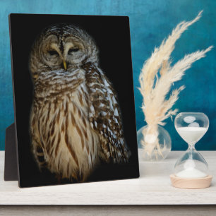 Sleepy Owl Plaque Fotoplatte