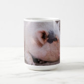 Sleepy Pig Mug Kaffeetasse (Mittel)