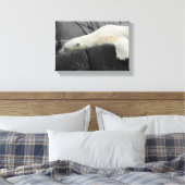 Sleepy Polar Bear Leinwanddruck (Insitu (Schlafzimmer))