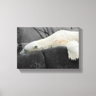 Sleepy Polar Bear Leinwanddruck