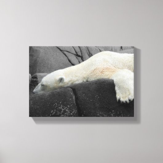 Sleepy Polar Bear Leinwanddruck (Vorderseite)