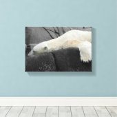Sleepy Polar Bear Leinwanddruck (Insitu (Holzboden))