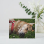 Sleepy Puppy Beauty Postcard Postkarte (Stehend Vorderseite)
