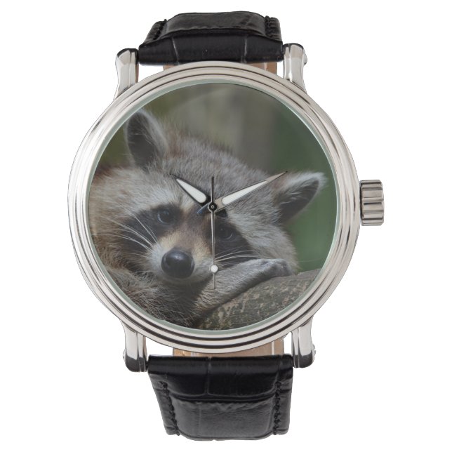 Sleepy Raccoon Armbanduhr (Vorderseite)