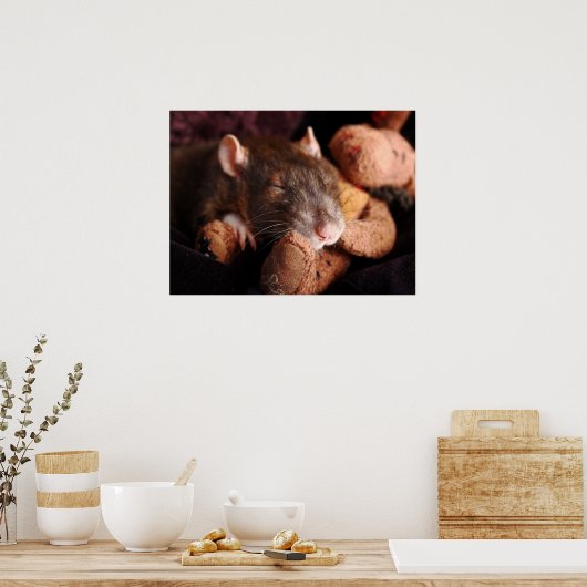 Sleepy Rat Poster (Küche)