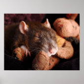 Sleepy Rat Poster (Vorne)