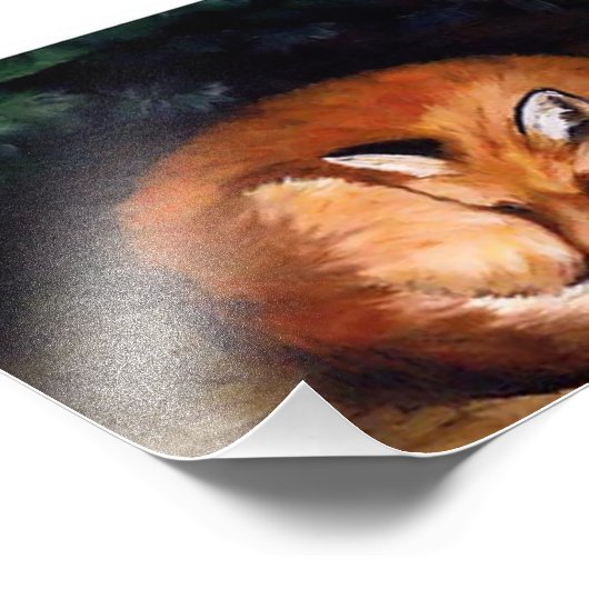 Sleepy Red Fox Foto Print (Ecke)