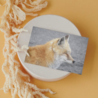 Sleepy Red Fox Funny Wildlife Geburtstag Karte