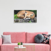 Sleepy Red Fox Leinwanddruck (Insitu (Wohnzimmer))
