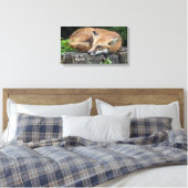 Sleepy Red Fox Leinwanddruck (Insitu (Schlafzimmer))