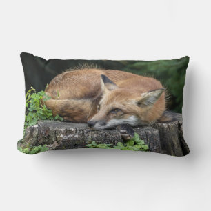 Sleepy Red Fox Lendenkissen