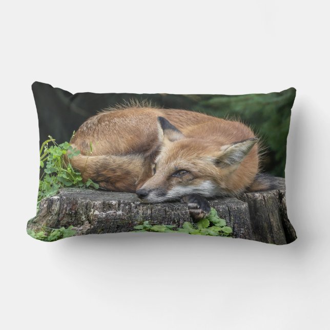 Sleepy Red Fox Lendenkissen (Vorderseite)