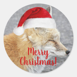 Sleepy Red Fox Tragen Red Weihnachtsmannmütze Holi Runder Aufkleber