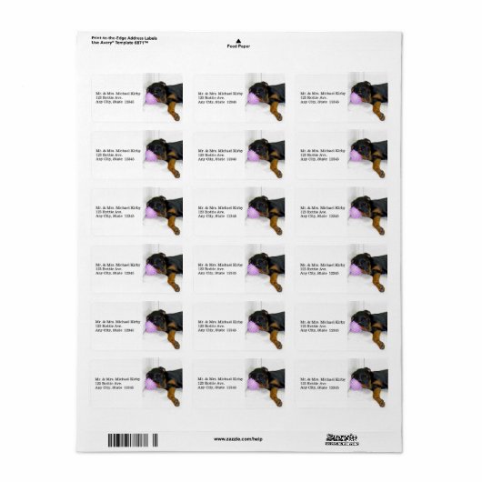 Sleepy Rottweiler Address Labels Adressaufkleber (Vorne)