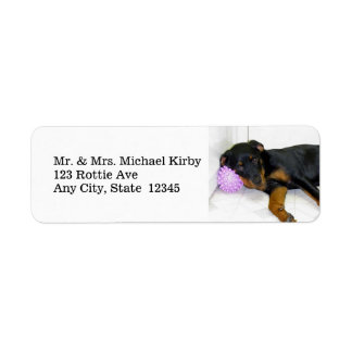Sleepy Rottweiler Rücksendeadressen-Aufklebers