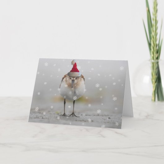 Sleepy Sandpipers Weihnachten Karte (Vorderseite)